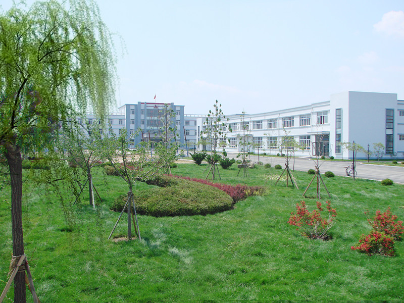 歡樂奧龍人，激昂青春夢