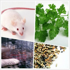 1724314225136.jpg 1724314225136.jpg