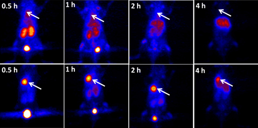 圖片4.png 圖片4.png